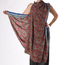 Cargar imagen en el visor de la galería, DUPATTA/CHAL/MASCADA LARGA/BUFANDA/PAÑOLETA DE SARI VINTAGE J2